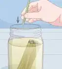 Make a Rooting Tonic