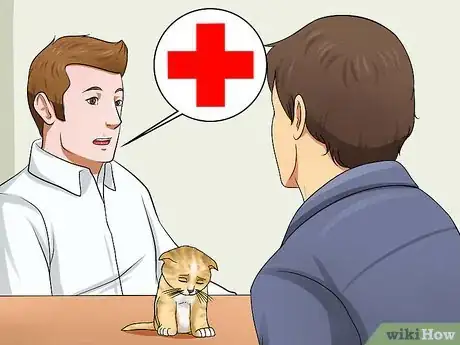 Image titled Prepare for Kittens Step 5