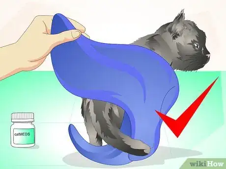 Image titled Deliver Oral Medication to Cats Step 15