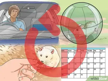 Image titled Travel With a Small Pet Step 20