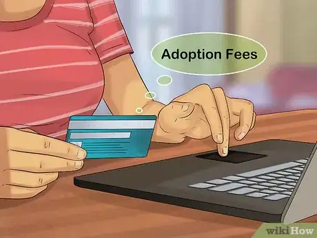 Image titled Rescue a Corgi Step 8