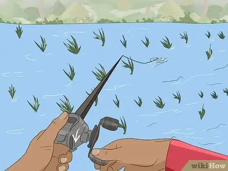 Image titled Fish a Shaky Head Step 11