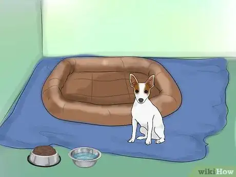 Image titled Calm a Dog With Natural Remedies Step 9
