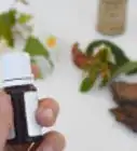 Make a Natural Perfume