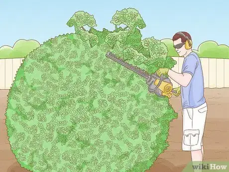 Image titled Remove Overgrown Shrubs Step 2