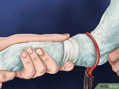 Image titled Help a Dog Suffering from Trauma Step 5