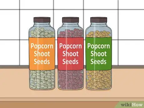 Image titled Grow Popcorn Shoots Step 2