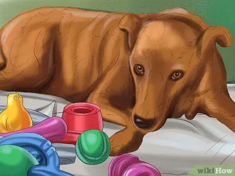 Image titled Select Safe Dog Toys Step 11