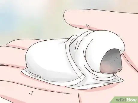 Image titled Care for a Baby Wild Rabbit Step 11