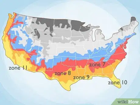 Image titled Care for a Purple Flower Potato Bush Step 1