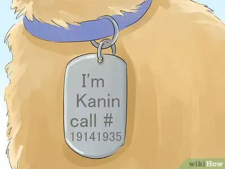 Image titled Help Your Dog Live Longer Step 9