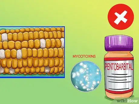 Image titled Choose All Natural Pet Food for Pomeranians Step 10