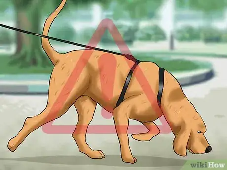 Image titled Prevent Canine Coronavirus Step 4