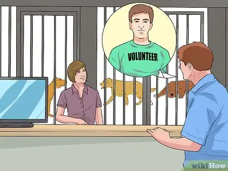 Image titled Help Dogs in Need Step 1