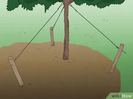 Image titled Attract Squirrels Step 5