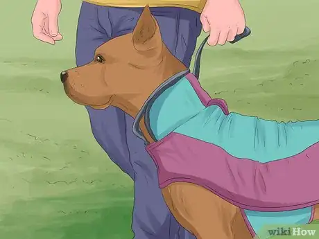 Image titled Keep Your Pets Safe in Winter Step 2