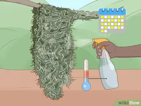 Image titled Grow Spanish Moss Step 8