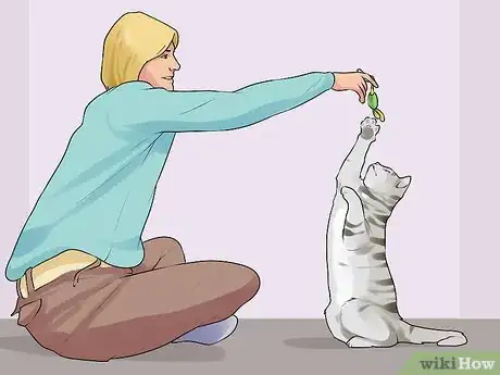 Image titled Keep an Old Cat Young at Heart Step 1