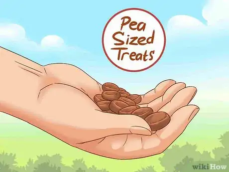 Image titled Train Your Dog With Silent Signals Step 5