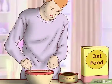 Image titled Include Your Cat in Holiday Celebrations Step 11