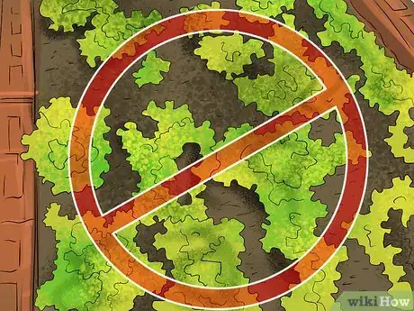 Image titled Harvest Herbs Step 14