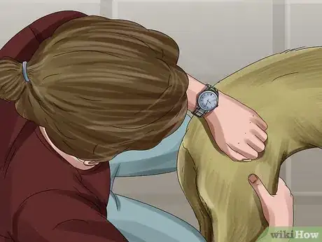 Image titled Tell if Your Dog Is Having a Medical Emergency Step 12