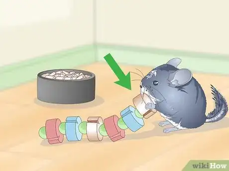 Image titled Help Your Chinchilla Adjust to its New Home Step 12