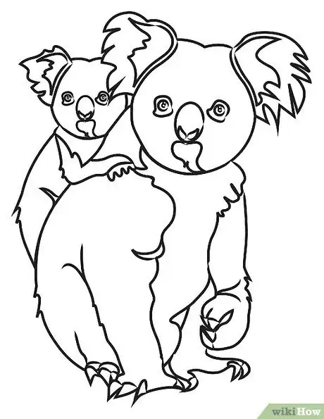 Image titled KoalaBear Outline Step 8