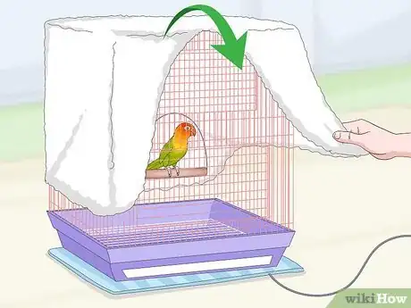 Image titled Treat Chlamydiosis in Lovebirds Step 6