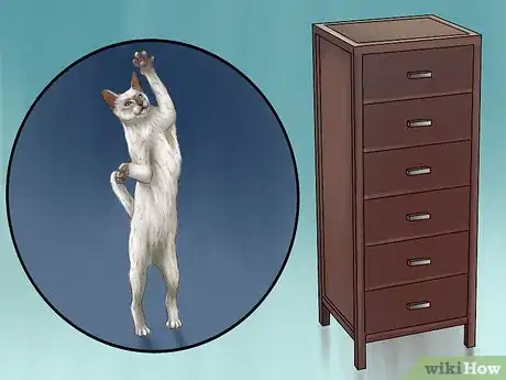 Image titled Take Care of a Javanese Cat Step 6