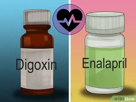 Image titled Diagnose Heart Disease in Ferrets Step 14