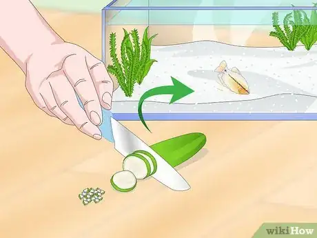 Image titled Care for a Pearl Gourami Step 8