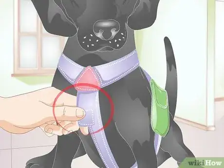 Image titled Fit a Dog Backpack Step 8