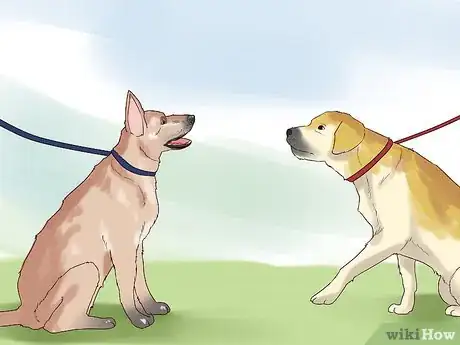 Image titled Socialize a New Dog with Your Family Step 11