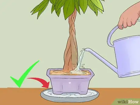 Image titled Care for a Money Tree Step 6