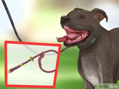 Image titled Be Prepared for Walking Your Dog Step 8