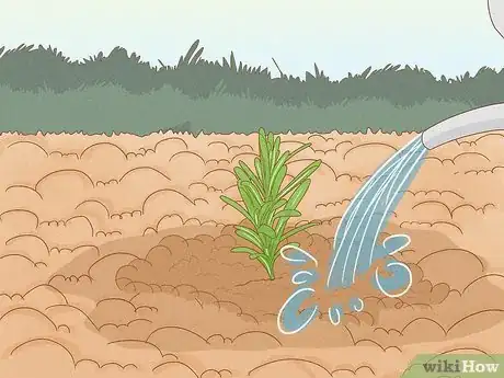Image titled Grow an Herb Garden Step 12