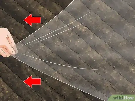 Image titled Kill Nematodes Step 3