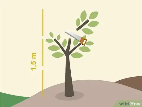 Image titled Grow Lanzones Step 15