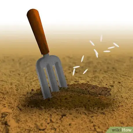 Image titled Grow Organic Lettuce Step 2