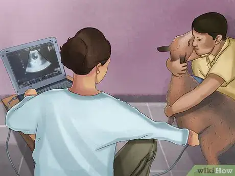 Image titled Tell if a Goat Is Pregnant Step 16
