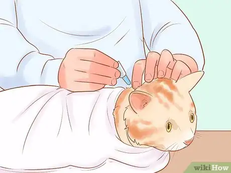 Image titled Give Selamectin to Cats with Parasites Step 4