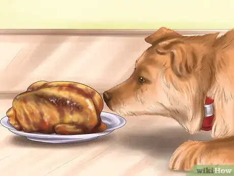 Image titled Keep Your Dog or Cat at Its Correct Weight Step 12