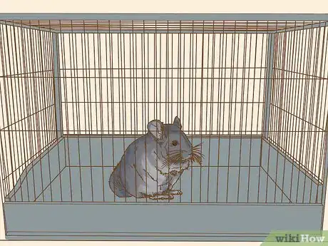 Image titled Clean a Chinchilla Cage Step 24