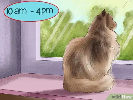 Image titled Protect an Outdoor Cat from Excess Sunlight Step 7