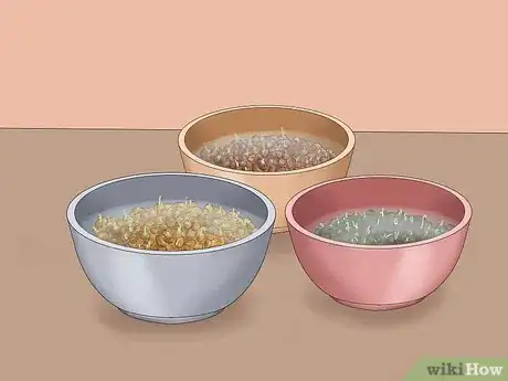 Image titled Prepare a Raw Food Diet Step 11