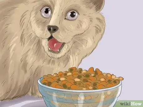 Image titled Keep Your Pets Safe in Winter Step 8