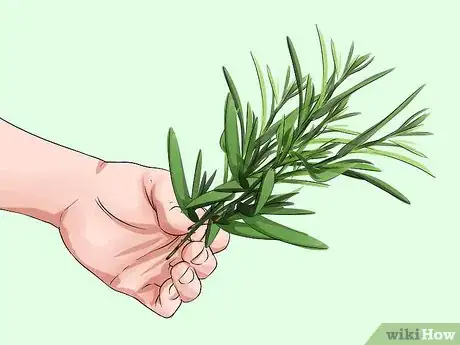 Image titled Grow Tarragon Step 13
