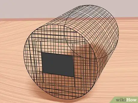 Image titled Care for Your Gun Dog Step 8