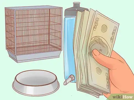 Image titled Know if Lories and Lorikeets Are Right for You Step 9